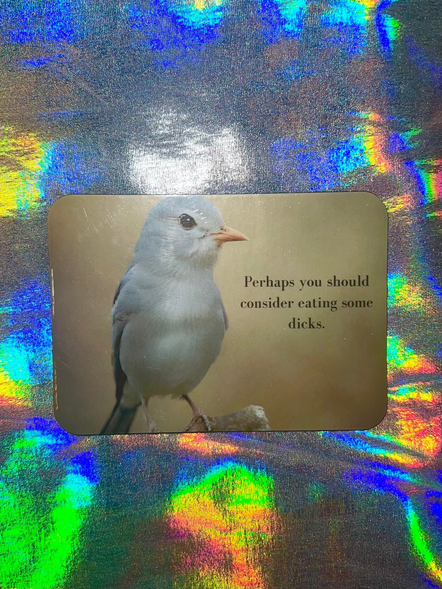 Prefer If You'd Eat a Bag of Dicks Funny Bird Magnet